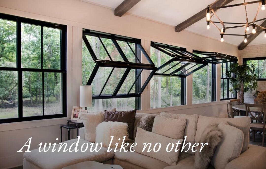 Window 1